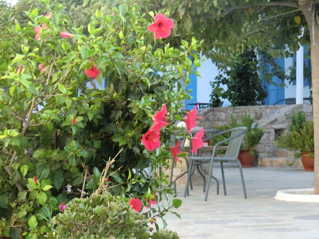 Mykonos Vouniotis Rooms Mykonos Town Екстер'єр фото